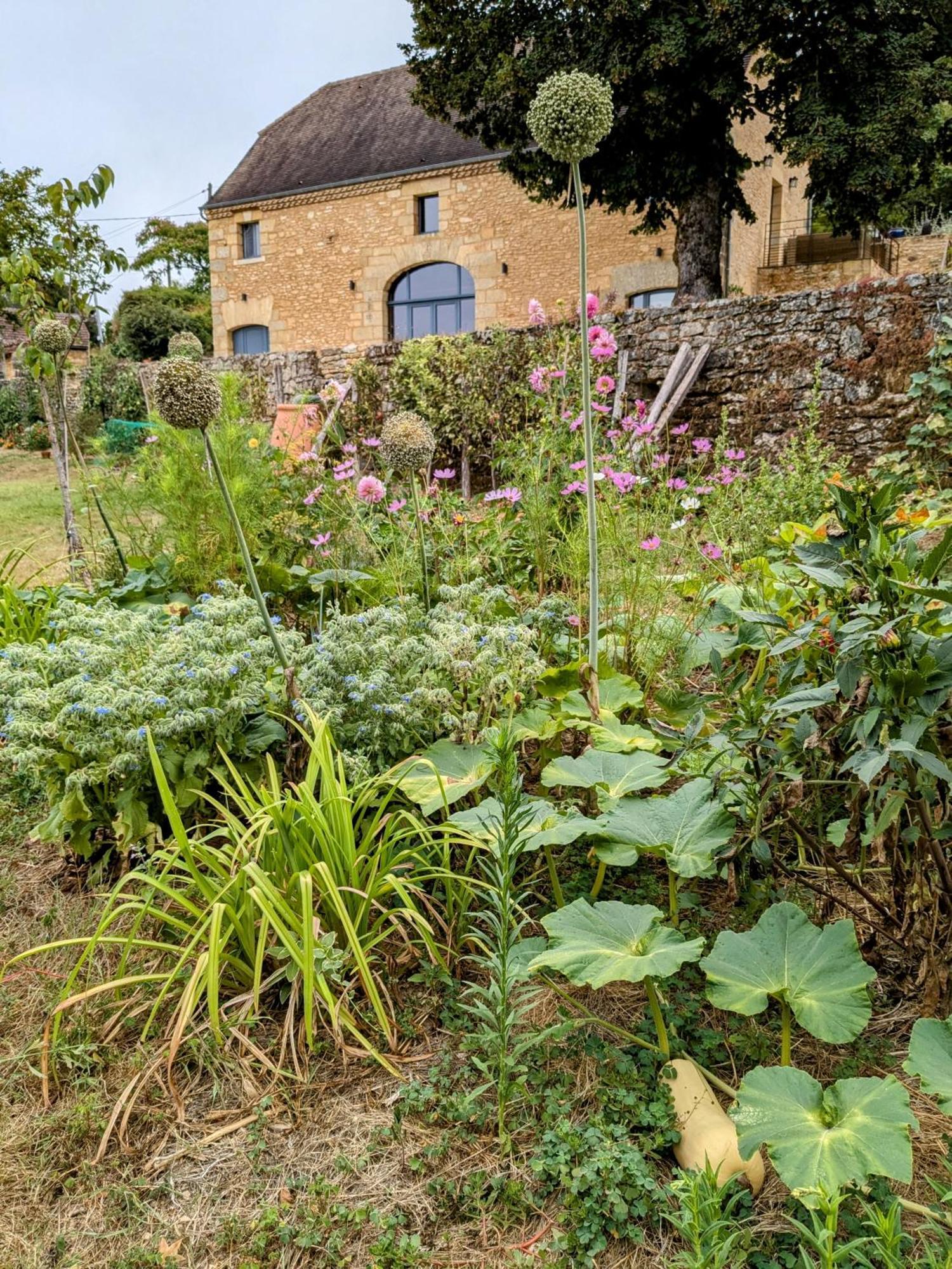 La Grange Symphorine, Chambre D'Hotes De Charme Situee Entre La Vallee De La Dordogne Et La Vallee De La Vezere Meyrals Eksteriør bilde
